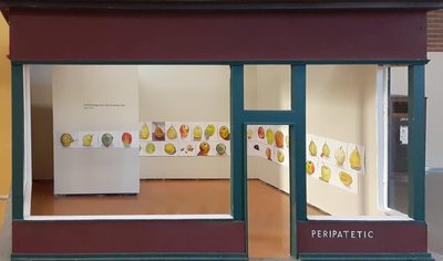 Peripatetic Gallery