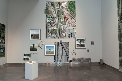The Nature of Shoreham Yards, Gudrun Lock 2022