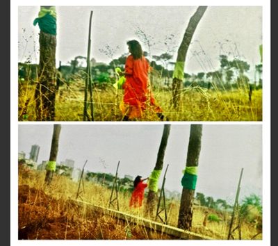 Grainy stills from a film of a performance piece, depicting a person wearing red and standing near trees with scarves tied to them