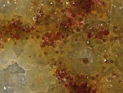 500x magnification of the flecked surface of pottery