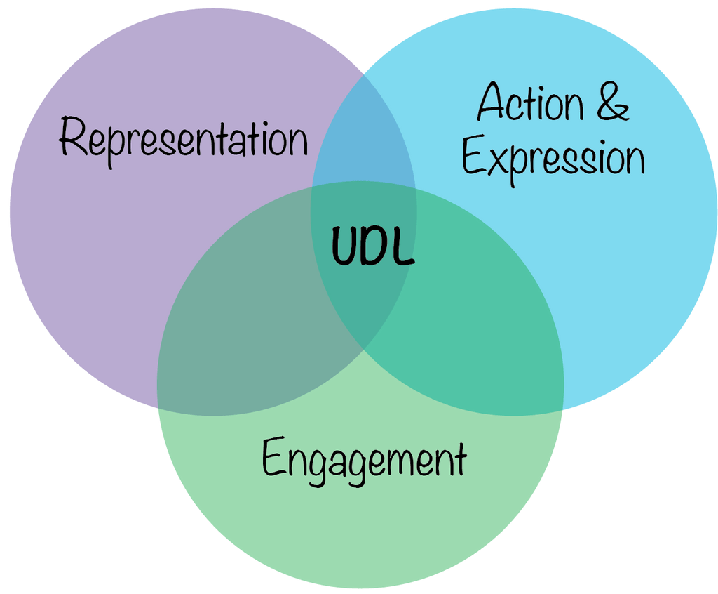 Universal Design for Learning venn diagram