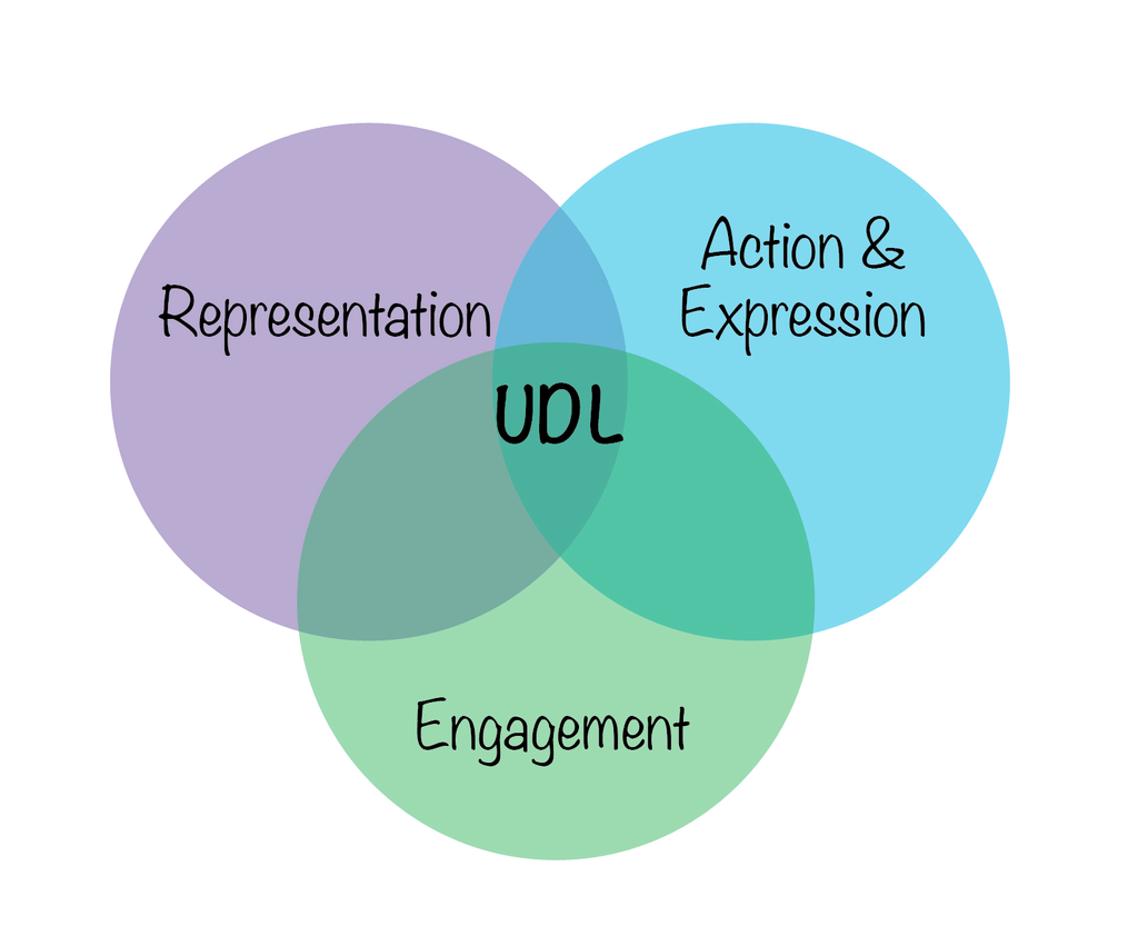 Universal design for learning venn diagram.