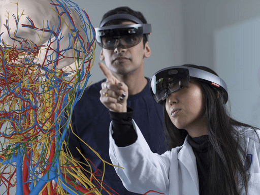 Augmented reality of anatomy of a human brain and nervous system