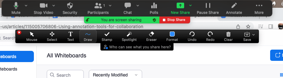 Annotation tools menu in Zoom