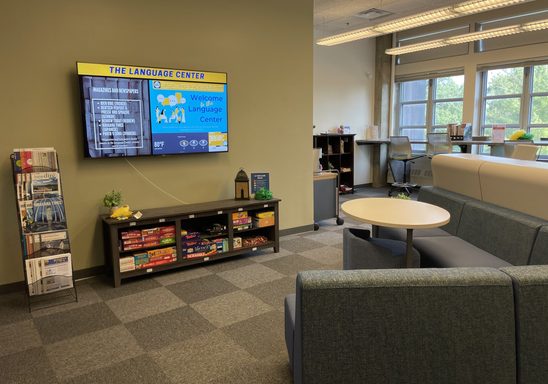Lounge taken from doorway looking left, showing the LC TV area and multilingual board game collection