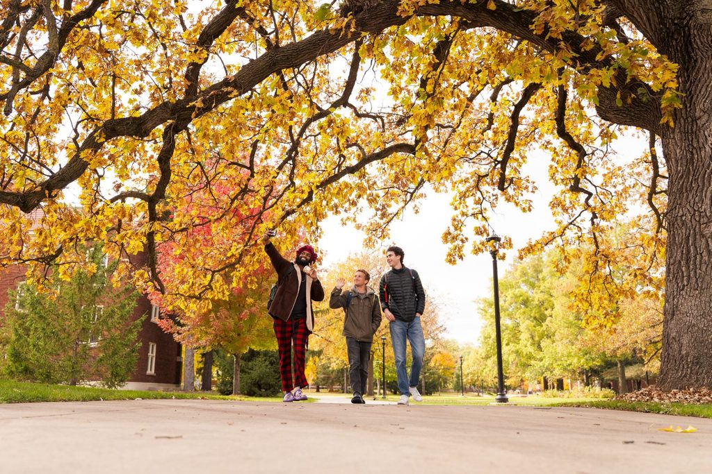Students pointing at fall trees