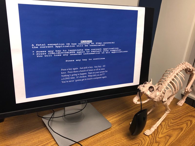 Computer Science Dept