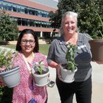 SAC Plant Potting