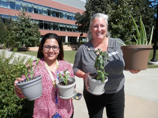 SAC Plant Potting