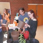 SAC Plant Potting