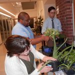 SAC Plant Potting