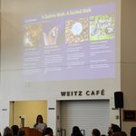 A Gallery Walk: A Guided Walk