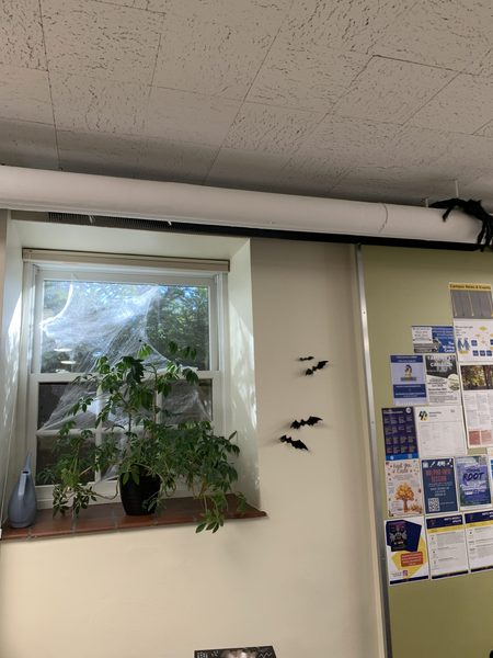 Educational Studies lounge decorated for Halloween.