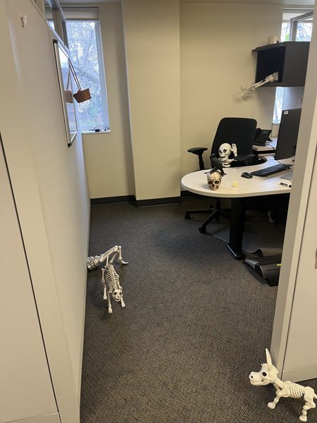 The AAF office in 200 Division, decorated like the Oregon Trail for Halloween.