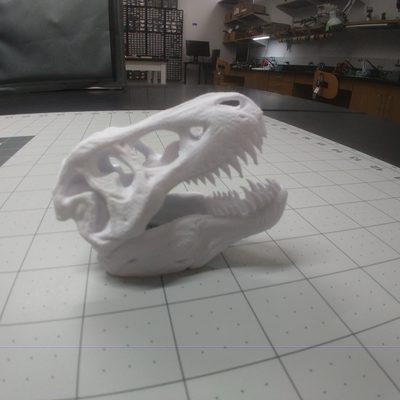 3D Printed T-Rex Skull