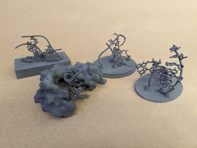 3D printed protein models