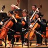 Orchestra performs