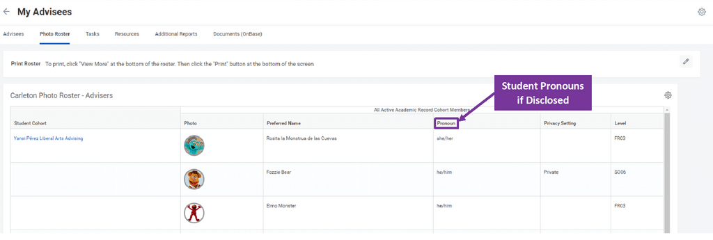 Image of the Carleton photo advising roster with an arrow pointing to the pronouns column header.