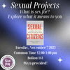 Sexual Projects Workshop