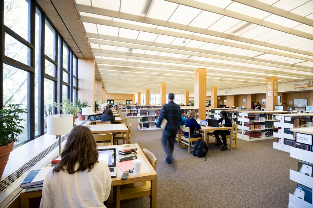 Students work in the library
