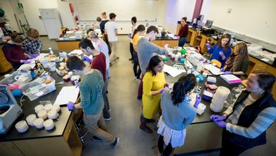 Students and a professor work in a biology lab