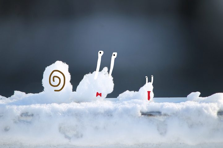 Snow slugs