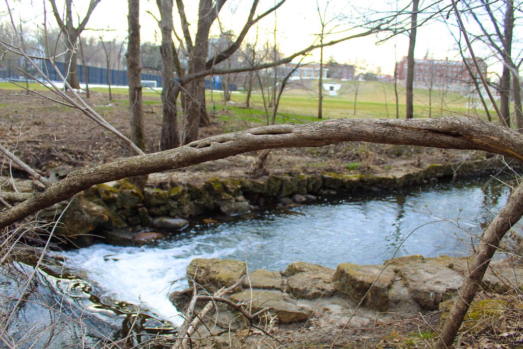 A creek with Carleton's Tennis Court in the Background