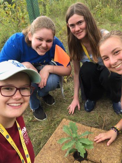 Four friends around a tree