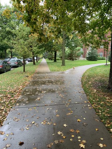 Sidewalk after rainy day. 