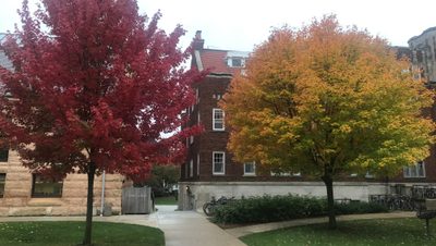 Colorful trees on the Carleton campus