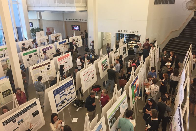 A room of student presenting their research posters in the Weitz commons