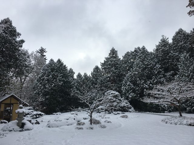 snowy japanese garden