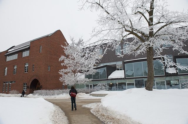 LDC winter image