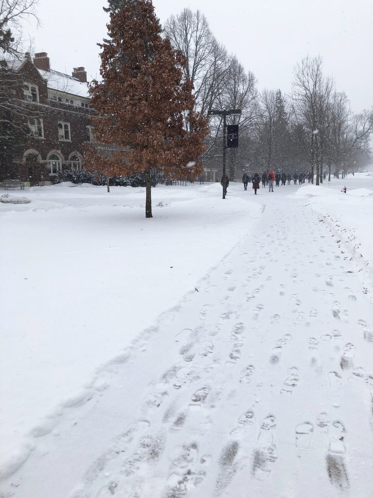a snowy sidewalk on the Carleton campus