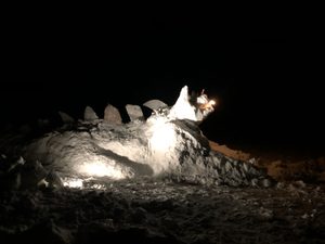 fire-breathing ice dragon