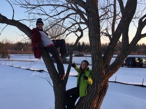 friends in a tree