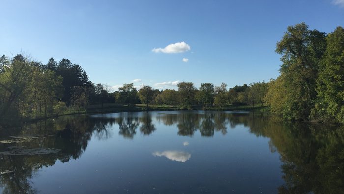A beautiful lake in the fall season