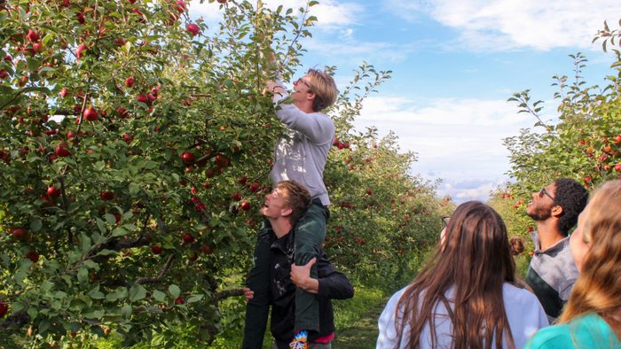 First Goodhue goes apple picking.