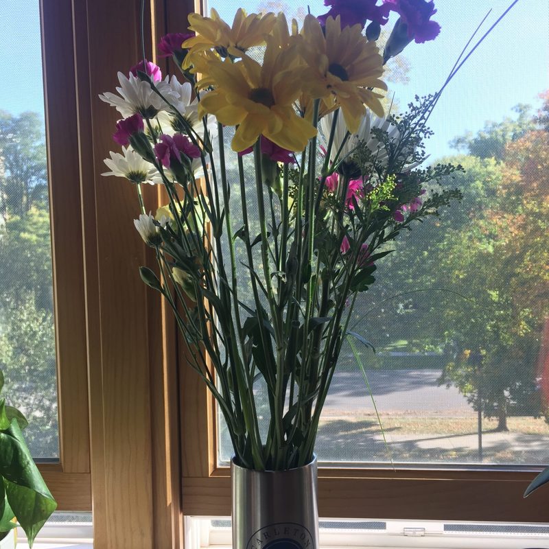 flowers on a window sill