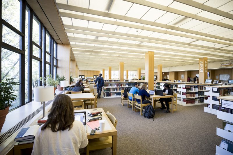 Library studying