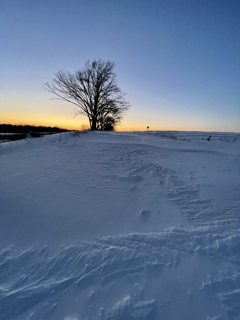 nordic skiing 