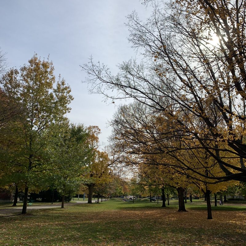 campus