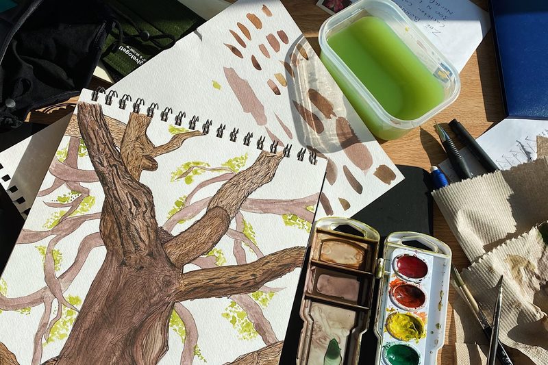 field drawing