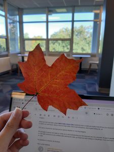 The first fall leaf I picked, pictured while I was working in Myers' lounge.