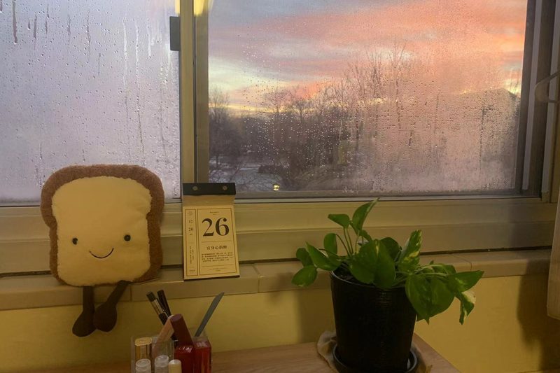window view