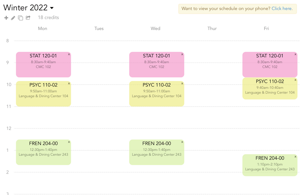 typical day essay schedule