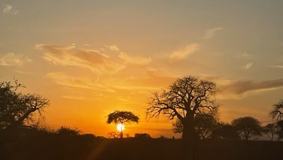 Sunset at the Serengeti