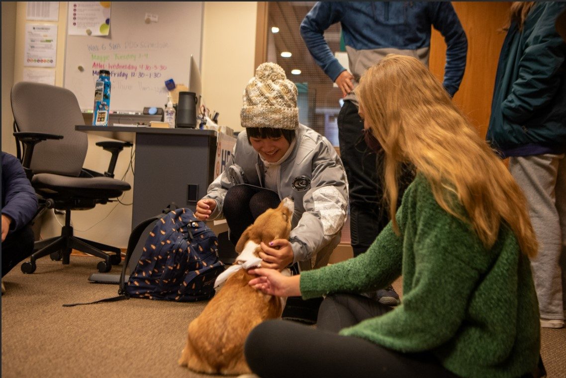 Students pet a SWA dog.