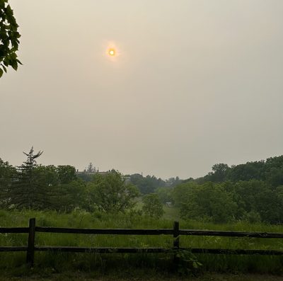 Hazy sky and trees off to the distance