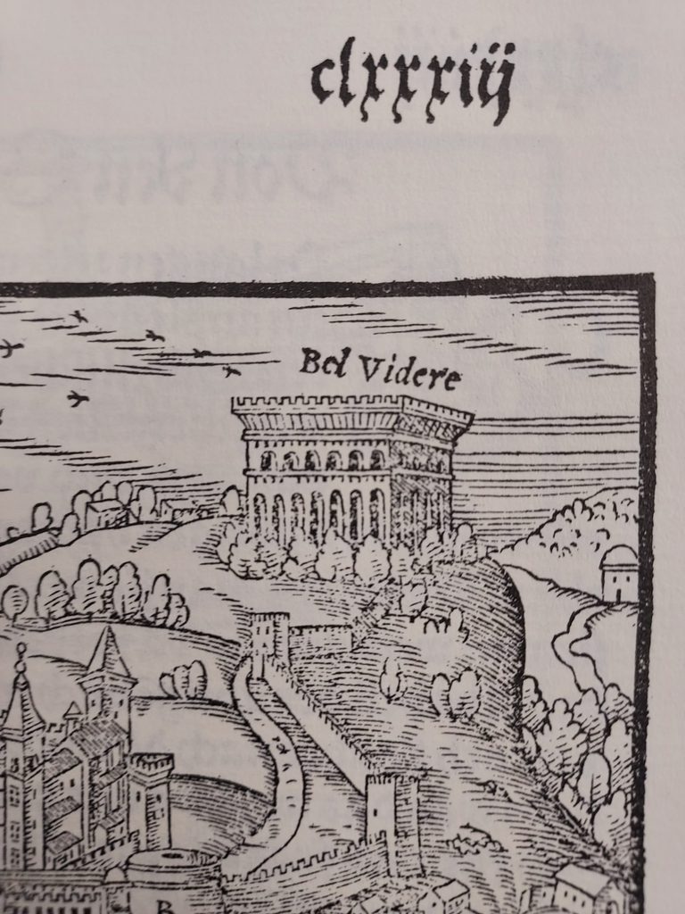 A bit of map text "bel videre"